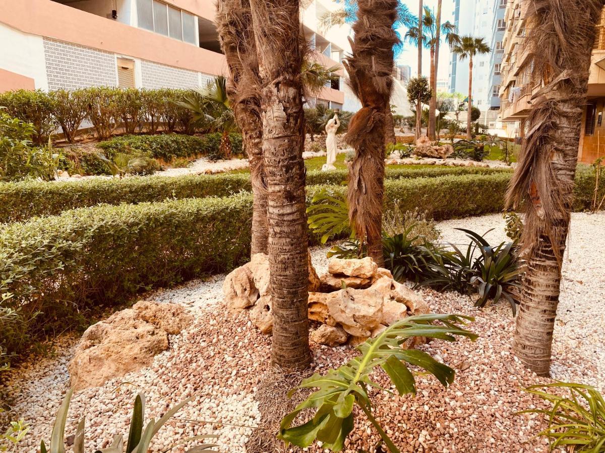 Be Luxury Apartment 20 Mts From The Beach Benidorm Eksteriør billede