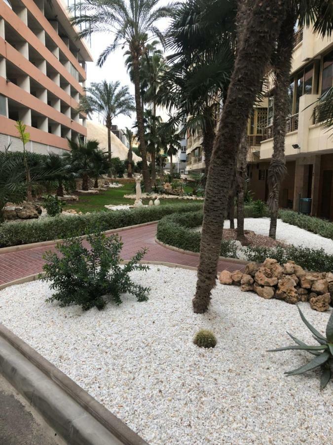 Be Luxury Apartment 20 Mts From The Beach Benidorm Eksteriør billede